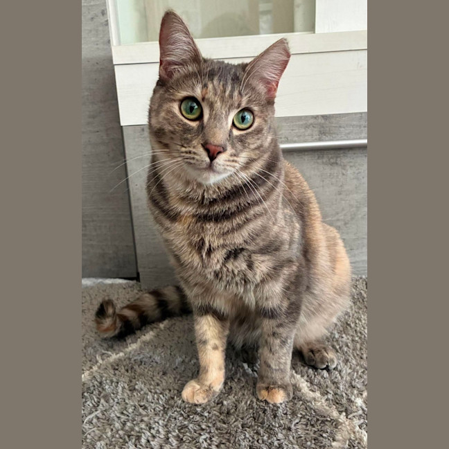 Photo of Charlotte