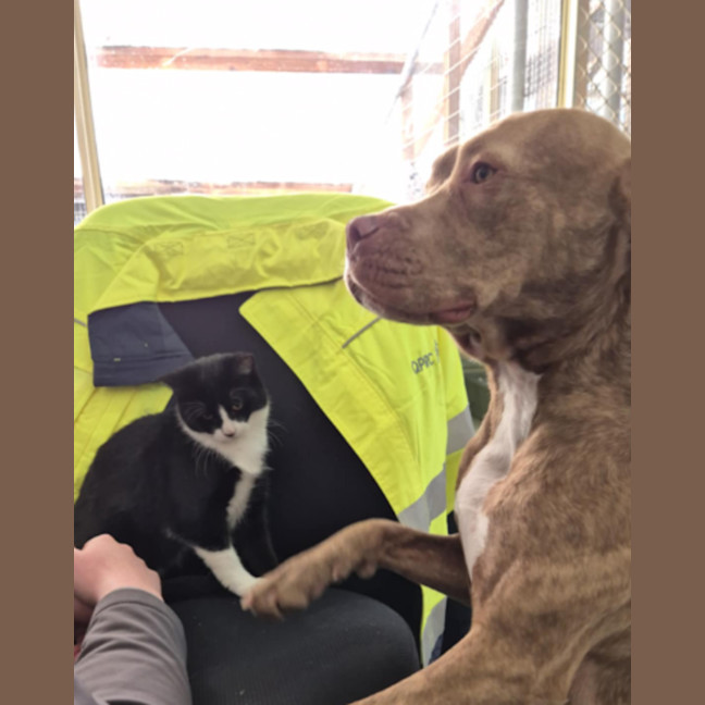 Photo of Meggie 💜