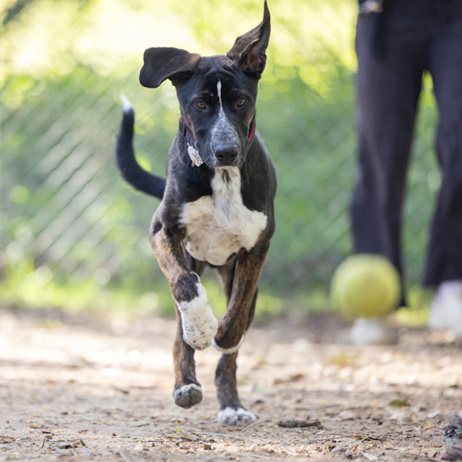Photo of Jet