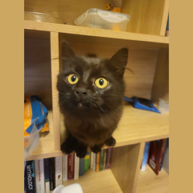 Photo of Dora