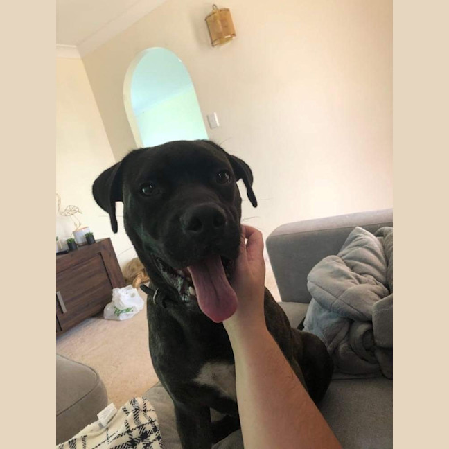 Photo of Zeus