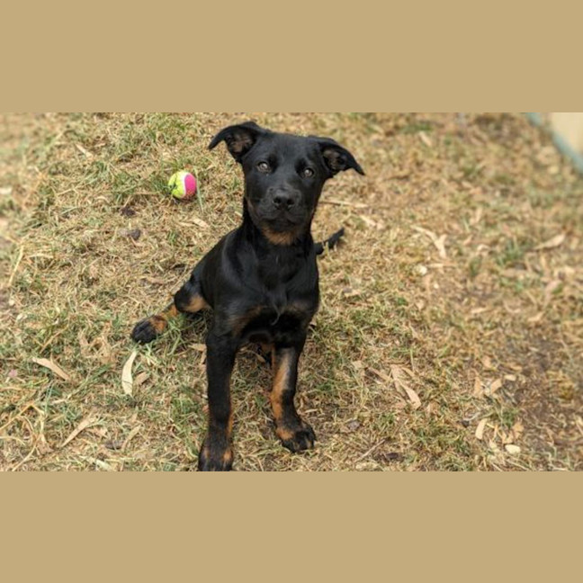 Photo of Ramona