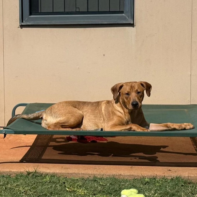 Photo of Ajax