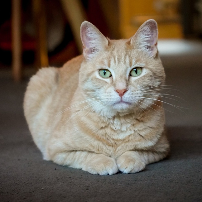 Photo of Sally & Denny