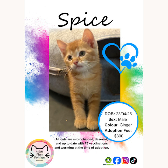 Photo of Spice