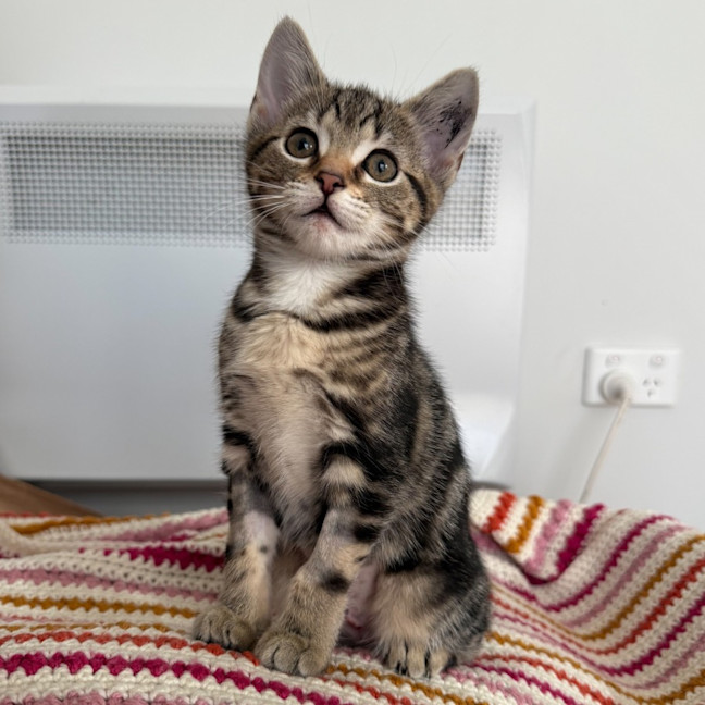 Photo of Daphne 🌻