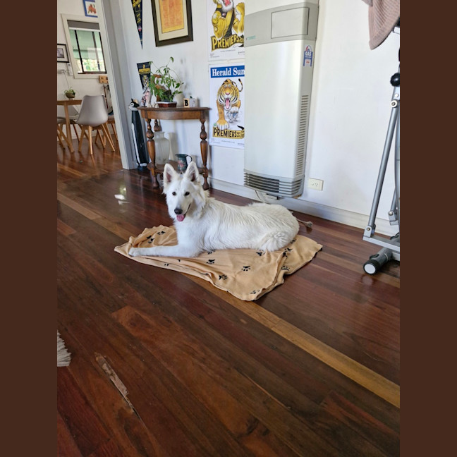Photo of Brin