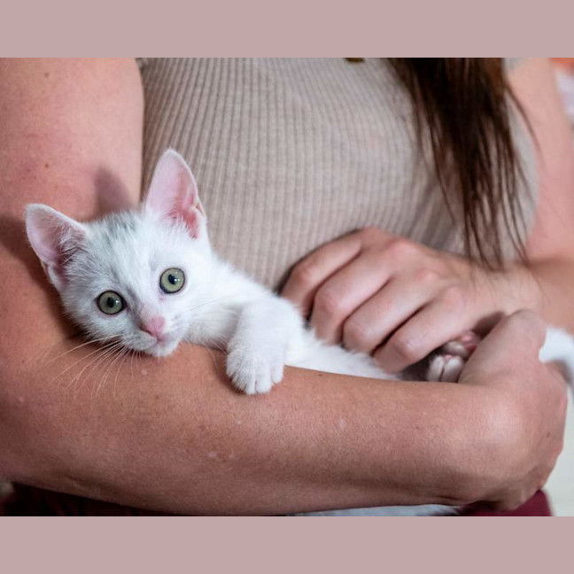 Photo of Pearl