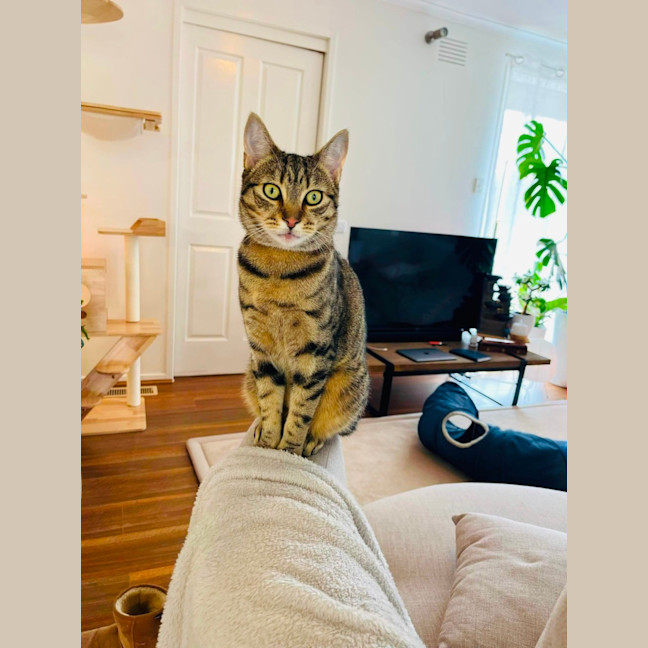 Photo of Ferris & Felix