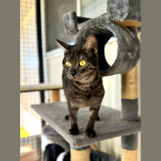 Photo of Birdie 