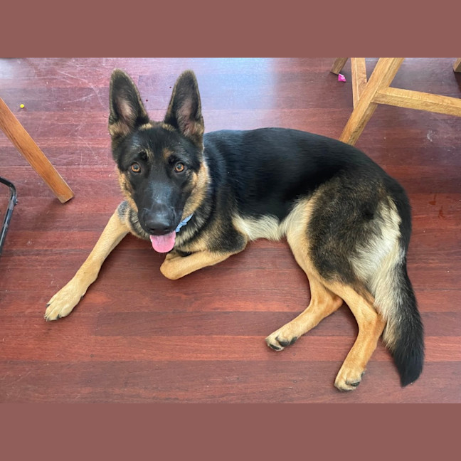 Photo of Aria