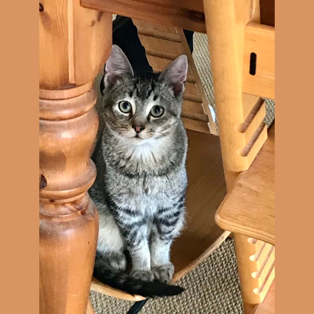 Photo of Billy And Oliver