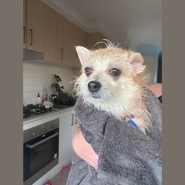 Photo of Tilly And Finn