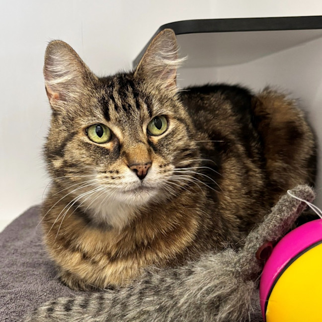 Photo of Luna Sta013217