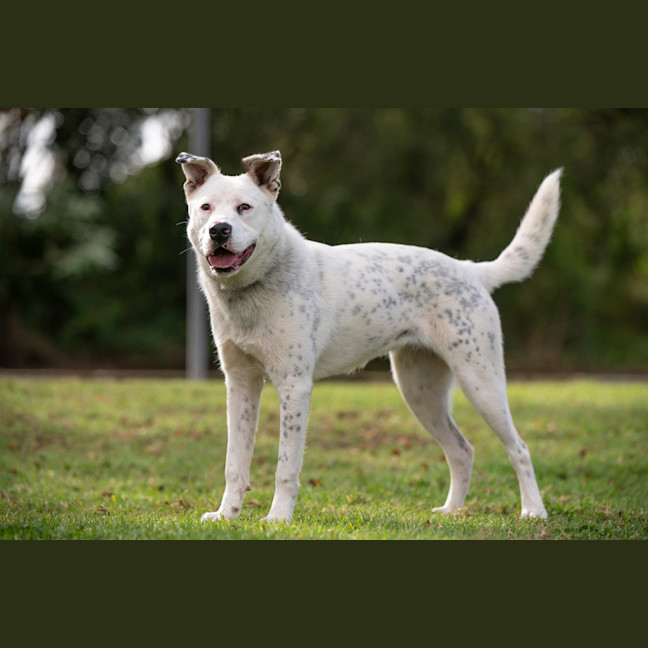 Photo of Breeze