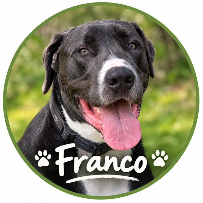 Photo of ❤️ Franco ❤️