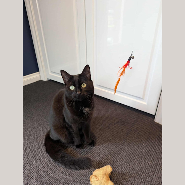 Photo of Amy & Declan