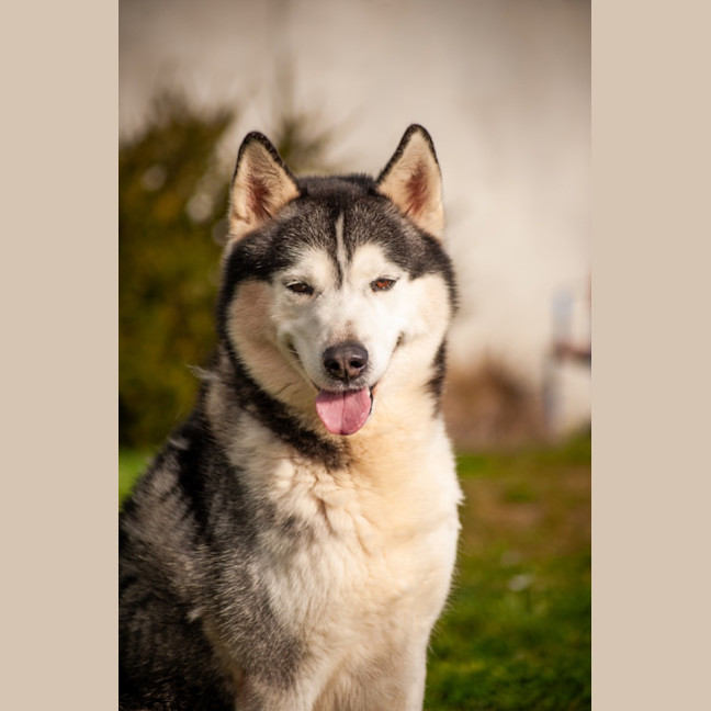 Photo of Echo