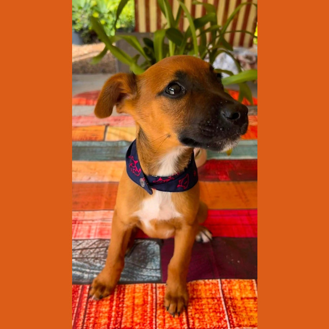 Photo of Tex