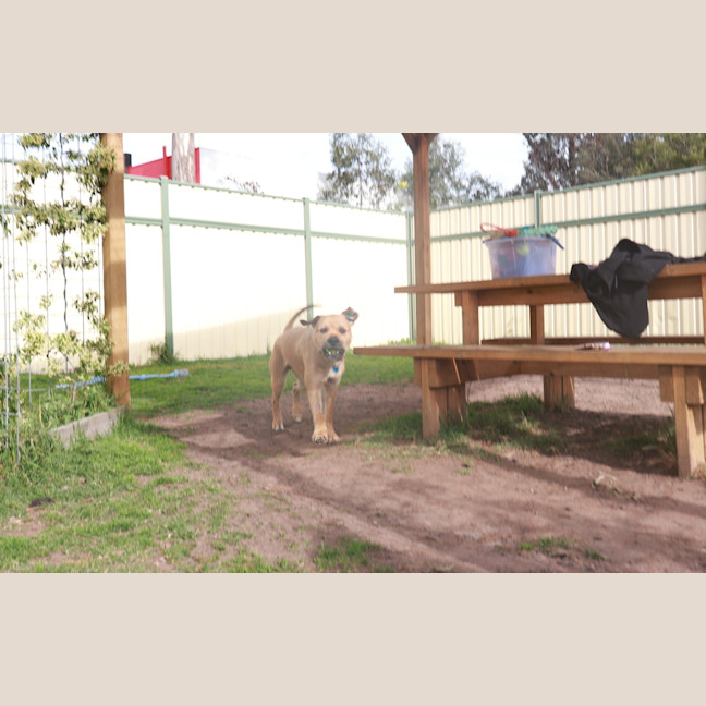 Photo of Apollo