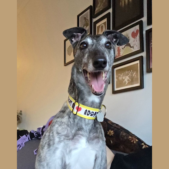 Photo of Nora