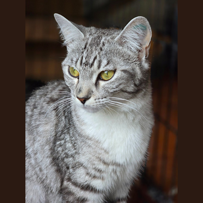 Photo of Talia