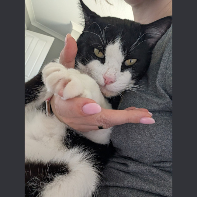 Photo of Benji