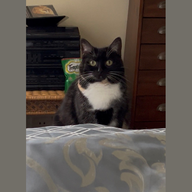 Photo of Wait A Minette!
