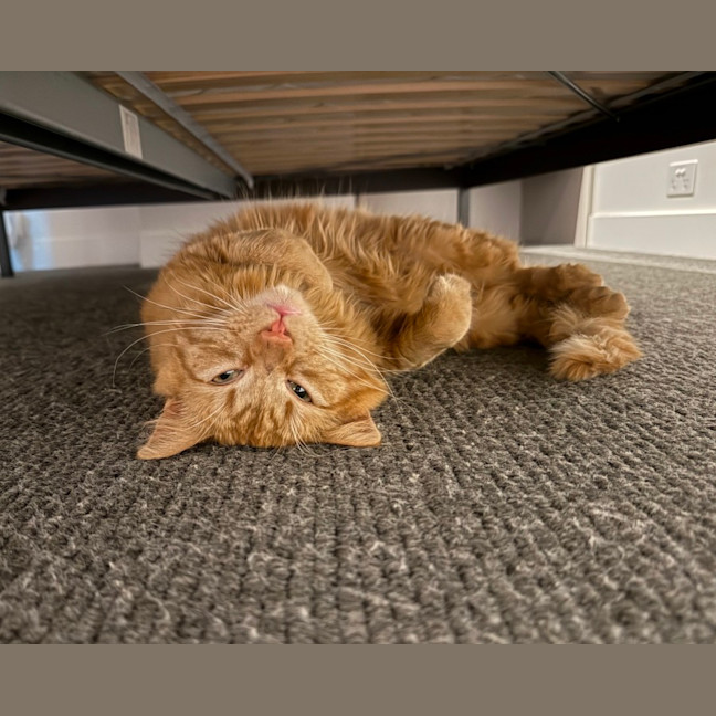 Photo of Kevin