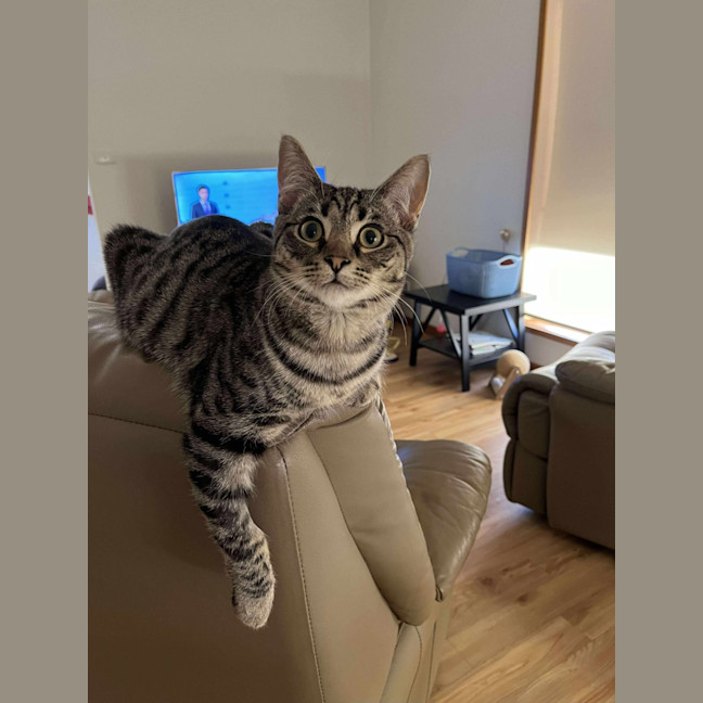 Photo of Bonnie 