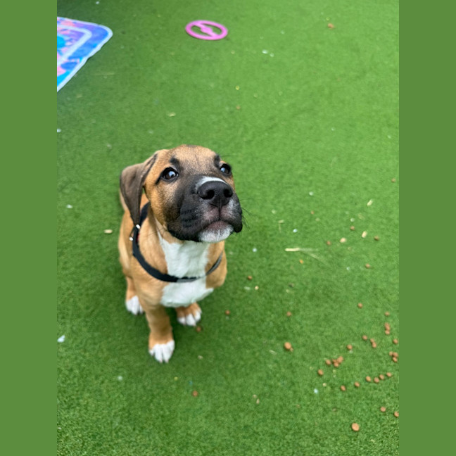 Photo of Reggie