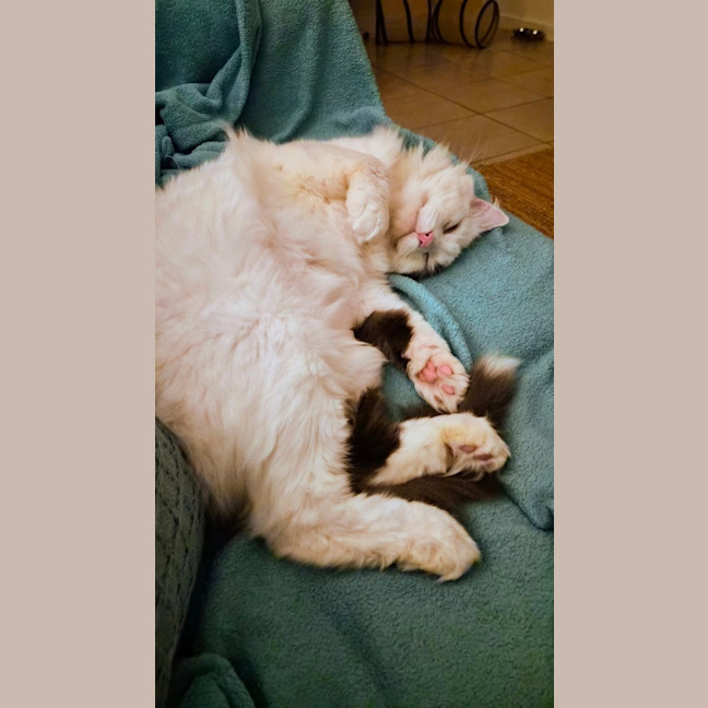 Photo of Walter 