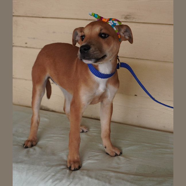 Photo of Ginger And Rodger