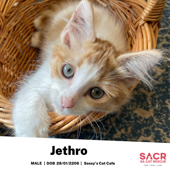 Photo of Jethro