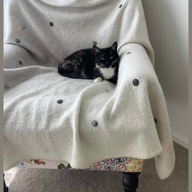 Photo of Minette
