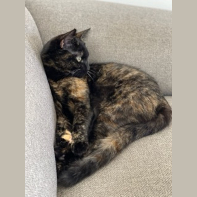 Photo of Abby 