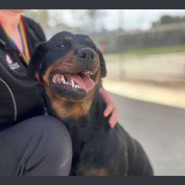 Photo of Moo Moo Bear