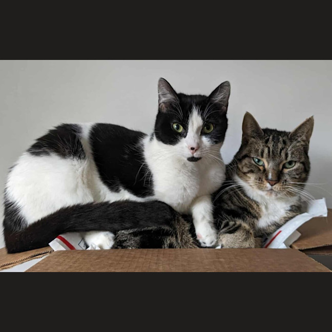 Photo of Oreo & Elisha 