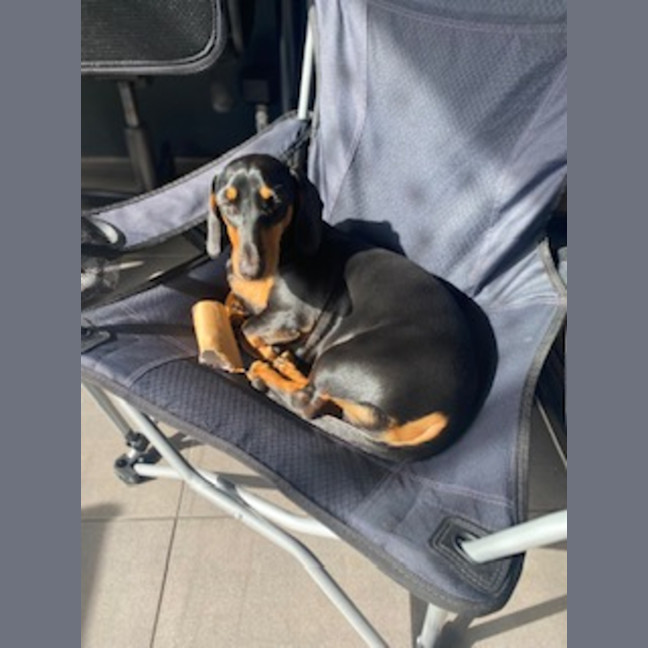 Photo of Peanut