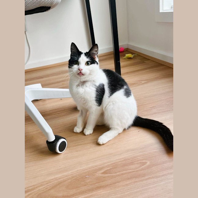 Photo of Moo