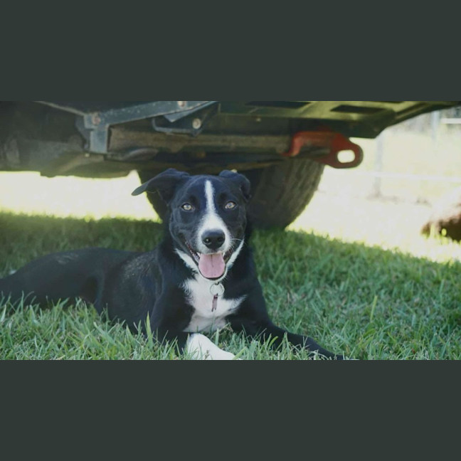 Photo of Freya