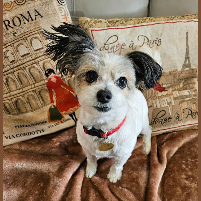 Photo of Senorita