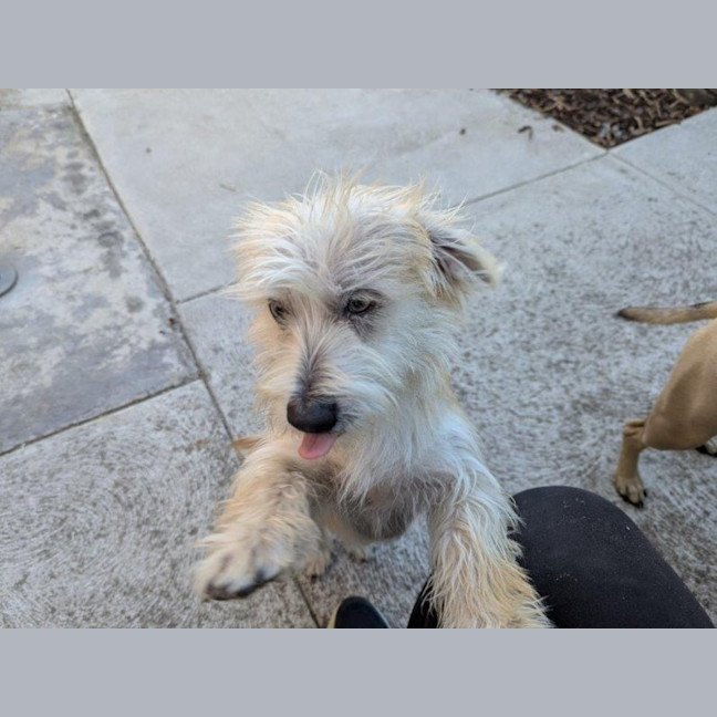 Photo of Georgie O'cleary