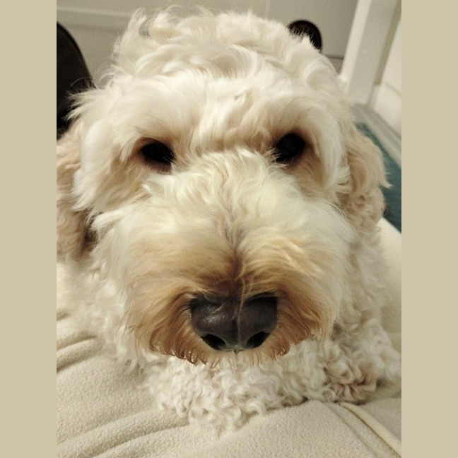 Photo of Maggie Firebrace