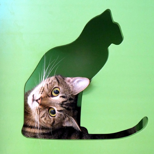 Photo of Marge Sta013634