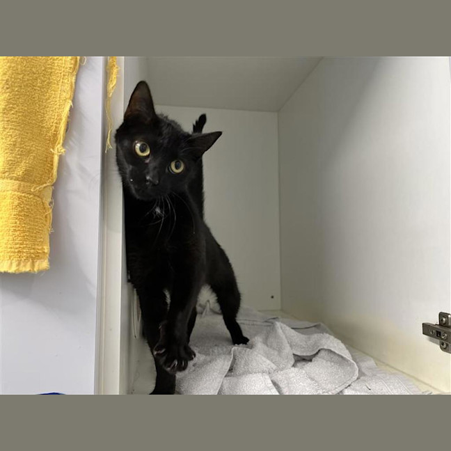 Photo of Luna