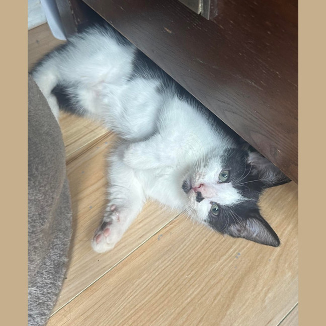 Photo of Katara