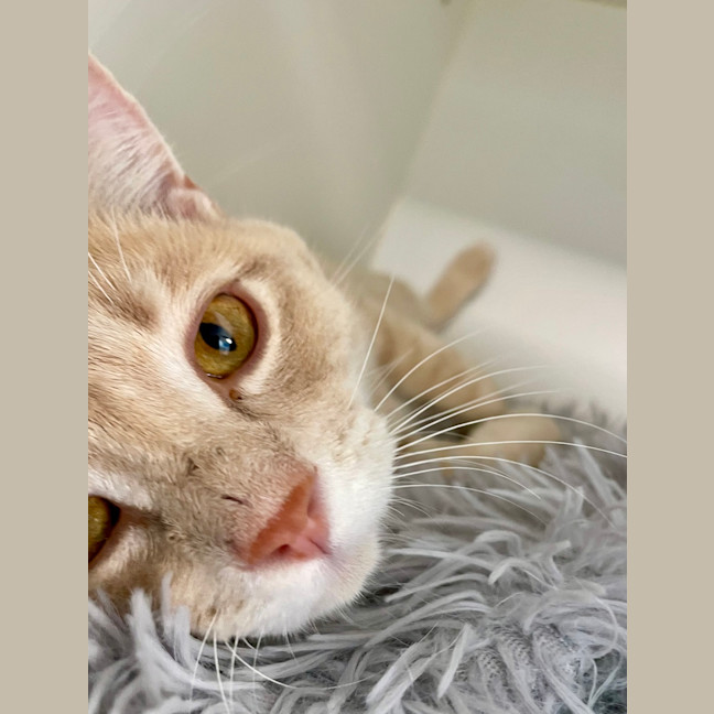 Photo of Mr G (Now Sunny)