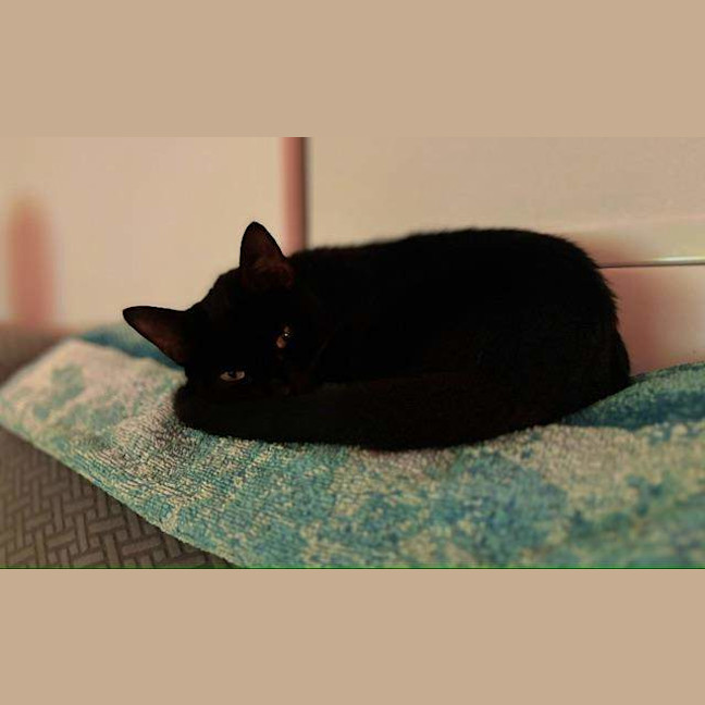 Photo of Dasha