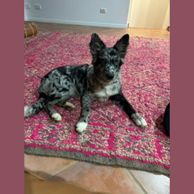 Photo of Nahla